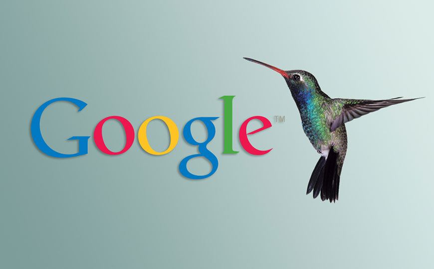 Google hummingbird là gì? Những điều bạn cần biết về thuật toán chim ruồi