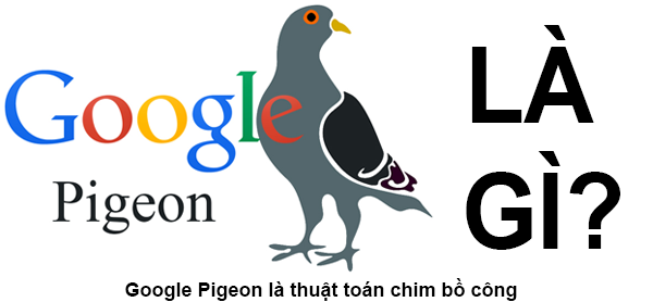 Google Pigeon là gì? Điều bạn cần biết về Pigeon