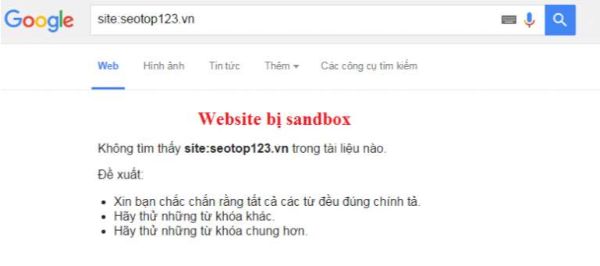 Website dính phải google sanbox